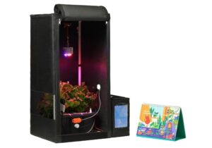 «GreenBox» - «Биолог зертханасы» гидропоникалық фермасы