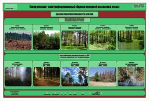 «Ормандағы өрт қауіптілігін бағалау» электрлендірілген планшеттік стенд