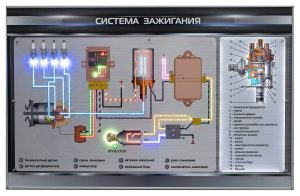 «Жану жүйесі» стенді