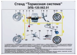«Тежегіш жүйесі» тірегі